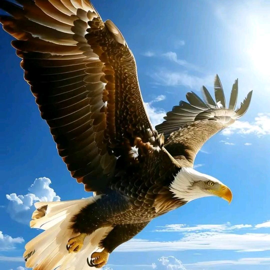 出家人不打诳语