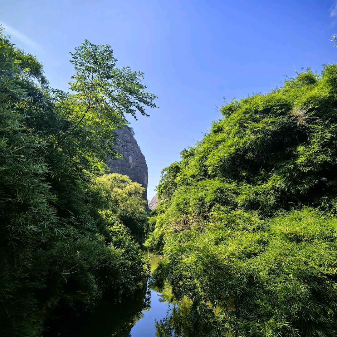 愿你我皆可梦想成真