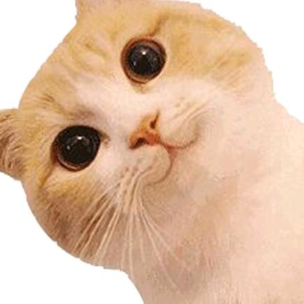 风停了
