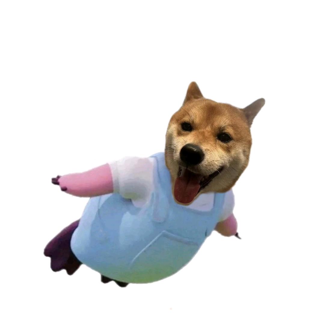 电子厂老板