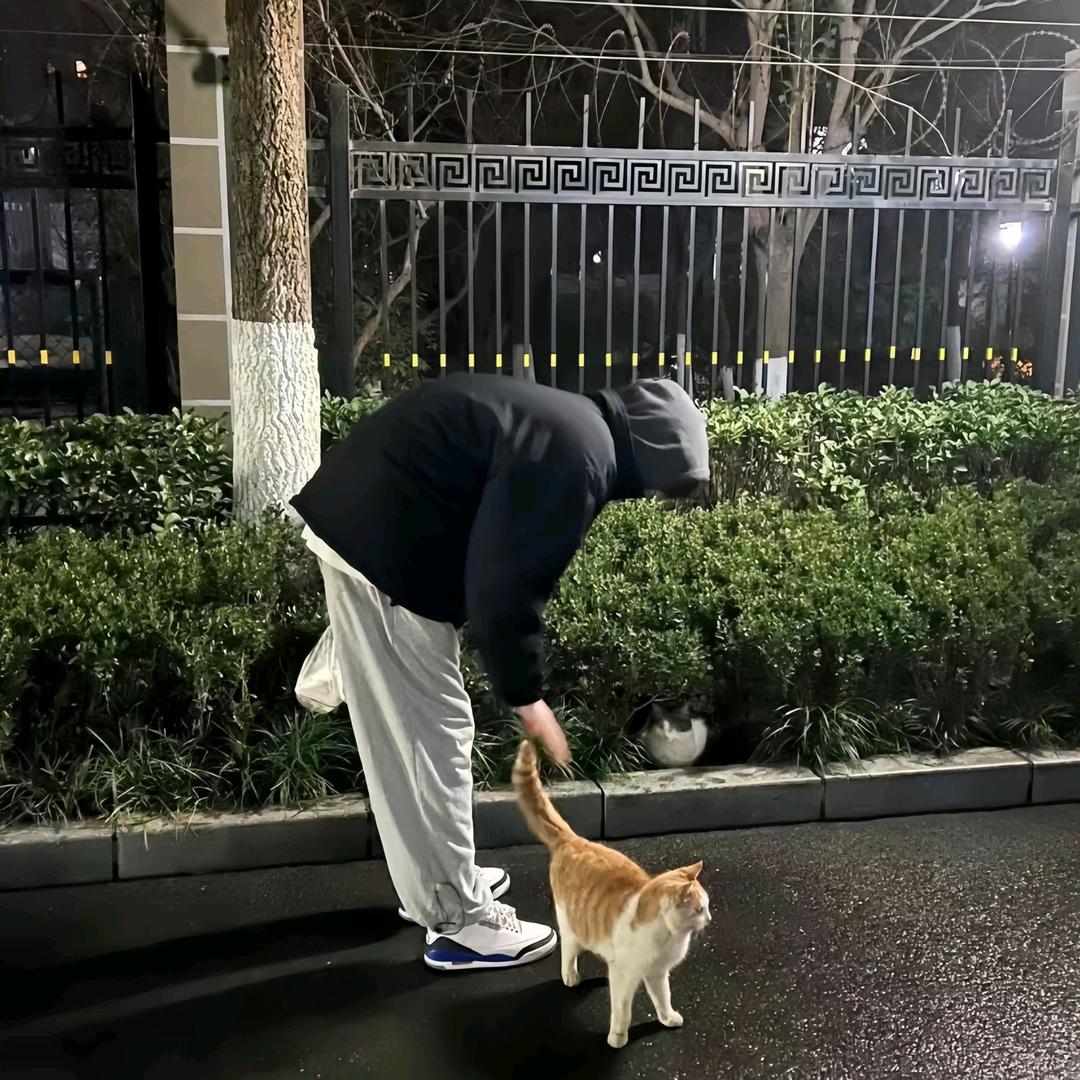 鹤•