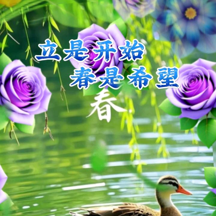 用户8796542395