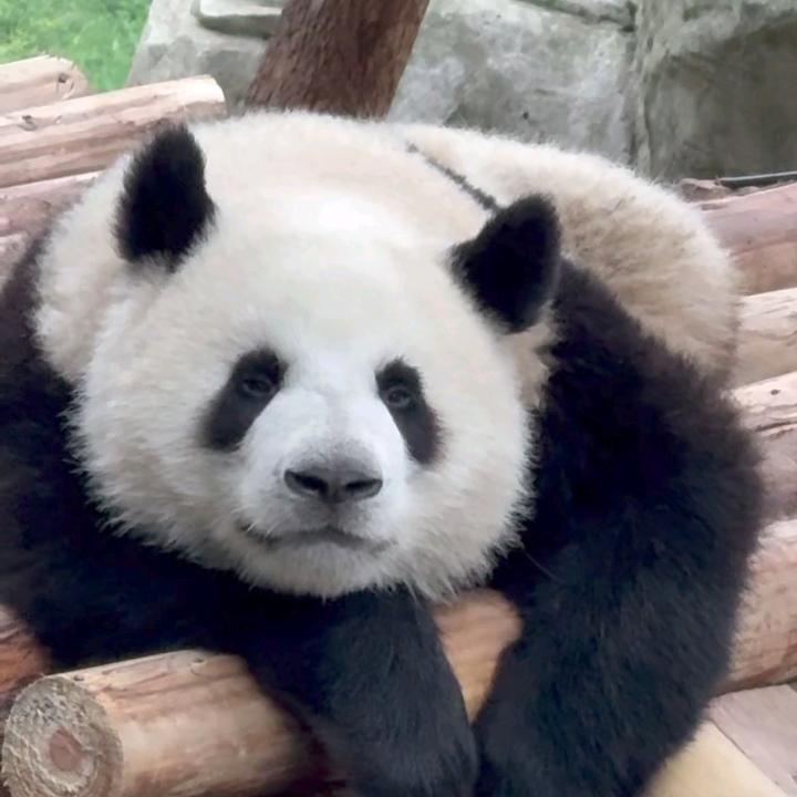莽小五