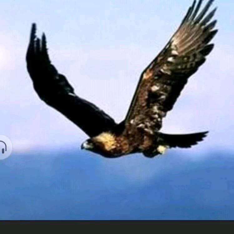 蓝天617589（承接回收费金属等业务〉