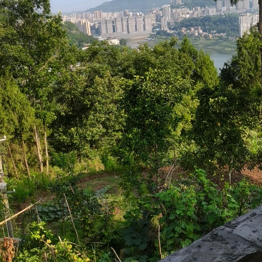 灿业装饰