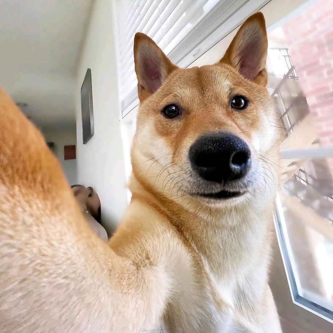 宇宙无敌煤气罐炫酷持有者·银河系最靓☸