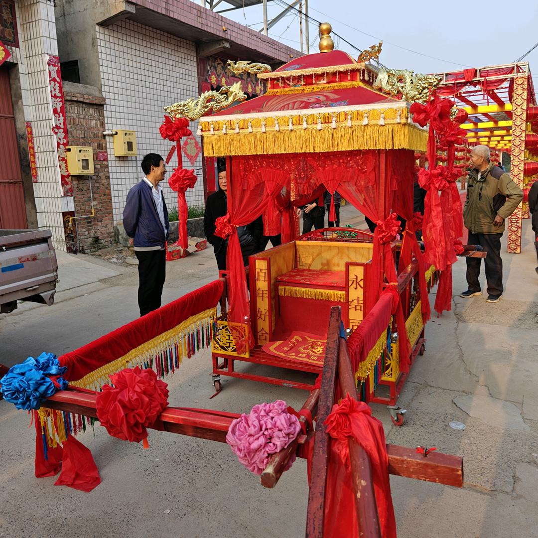 老杨花轿团队