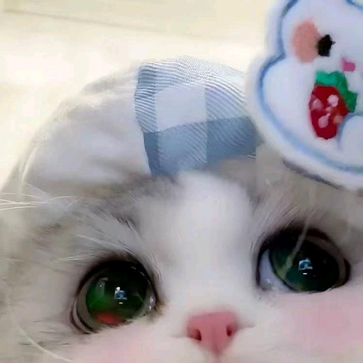 吉星高照