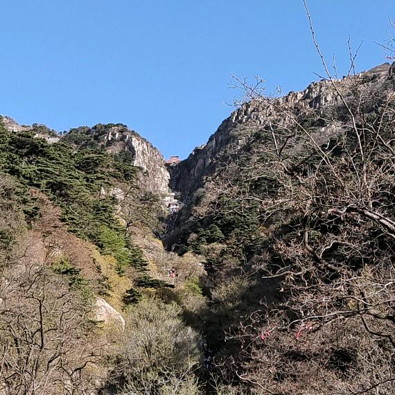 甜妹吖（养号中）