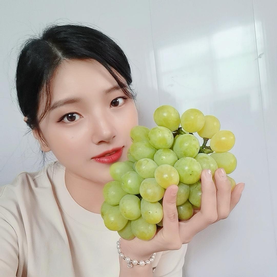🍇葡萄紫🍇