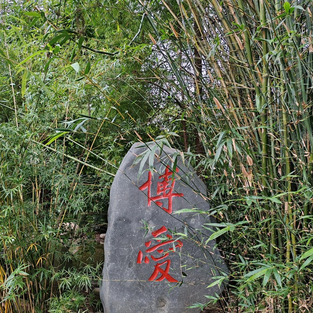 人间正道是沧桑