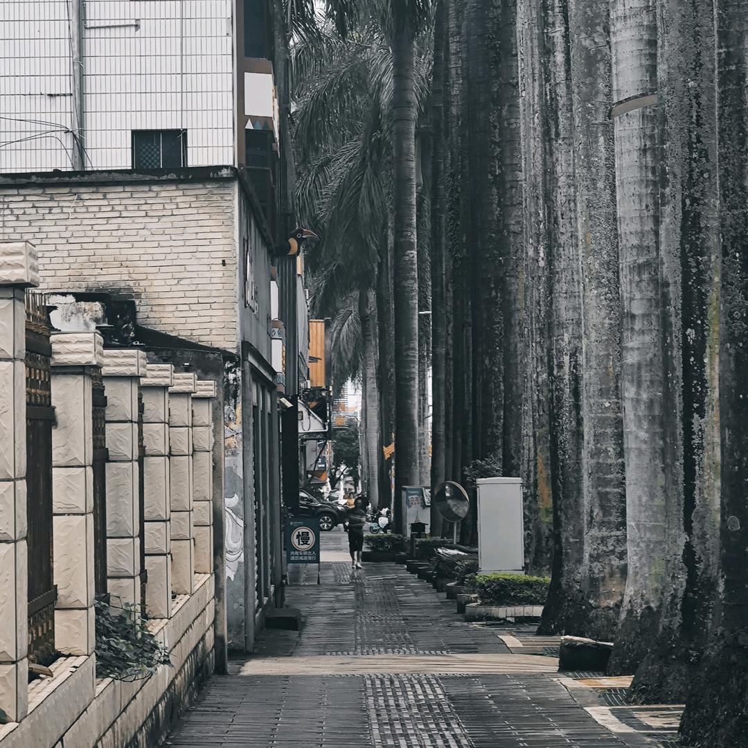 那只土拨鼠