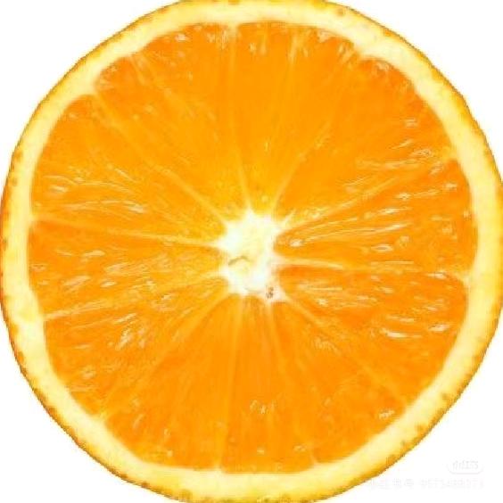 别揪我的兔耳朵