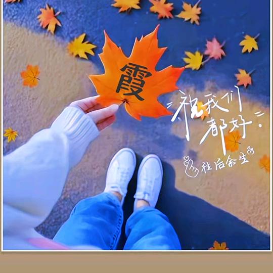 嘟嘟宝