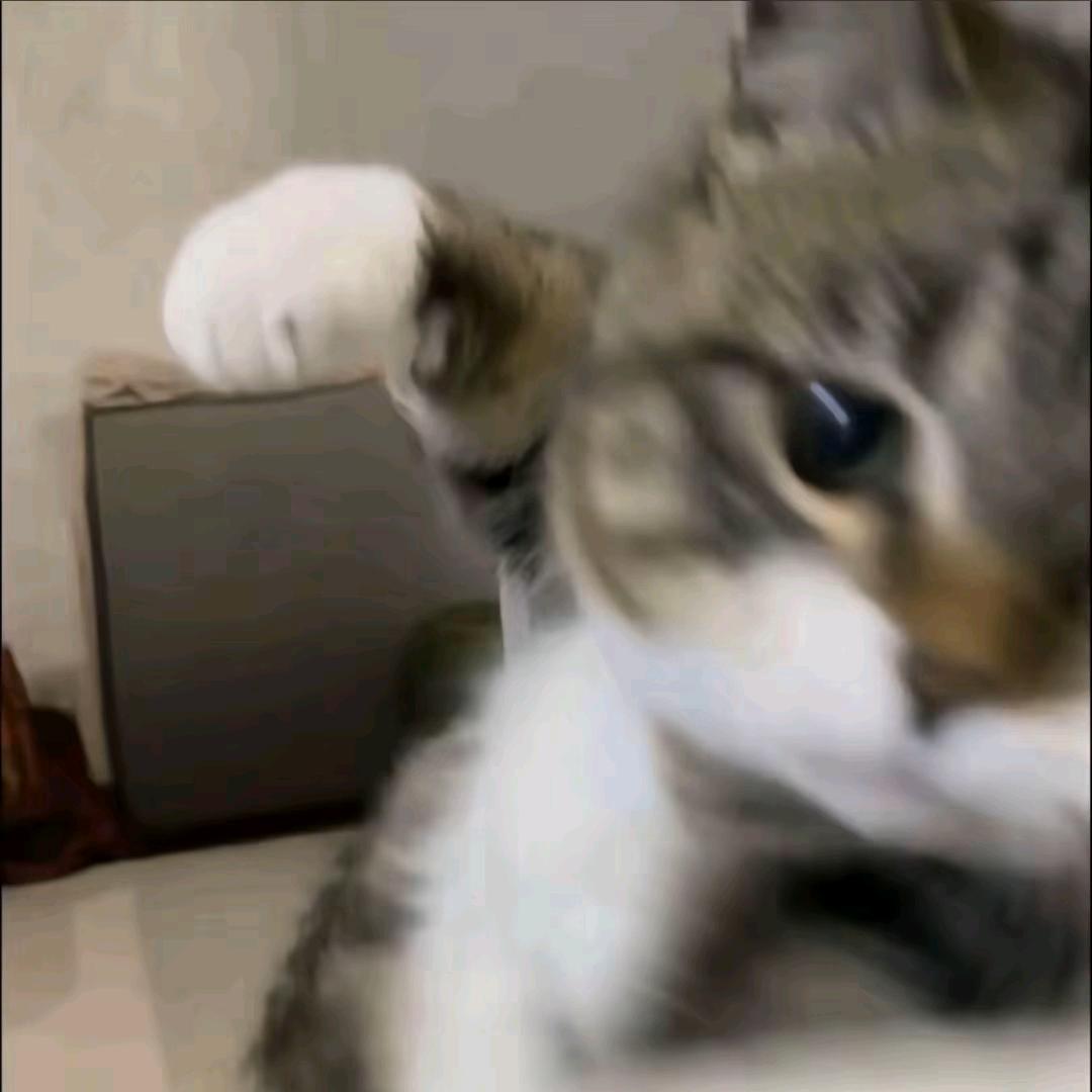 想鲨人