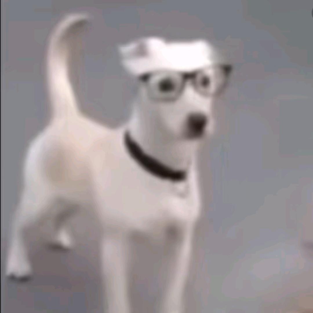 桐 桐