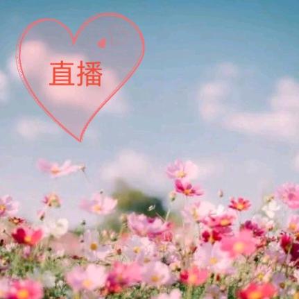 ♥(｡￫v￩｡)♥梦想飞翔