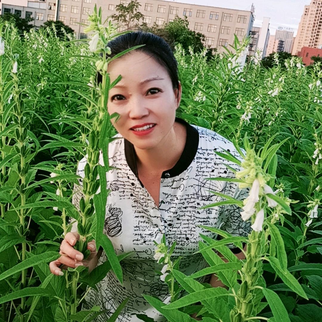 单身伊伊