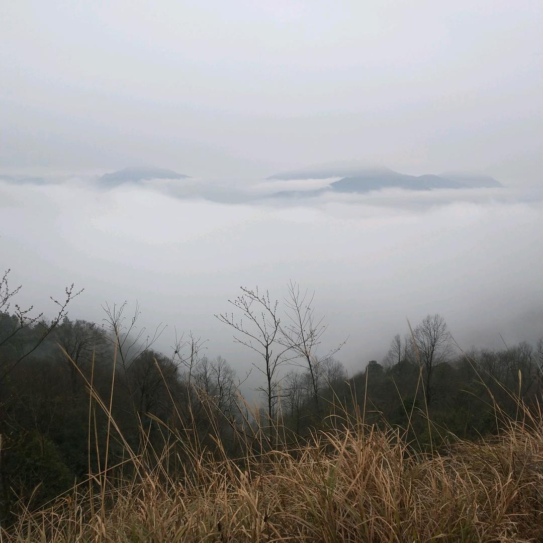 OU欧