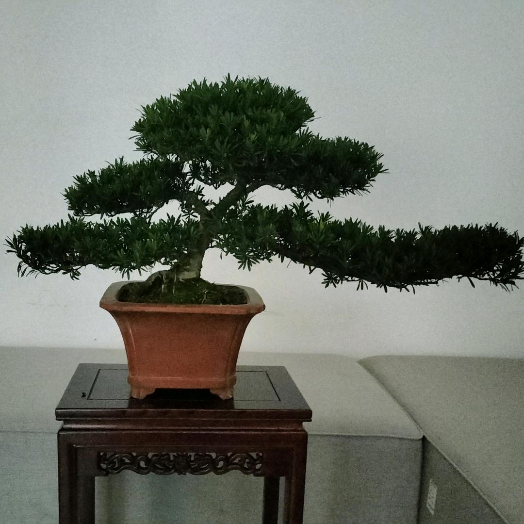 抽完这半支烟