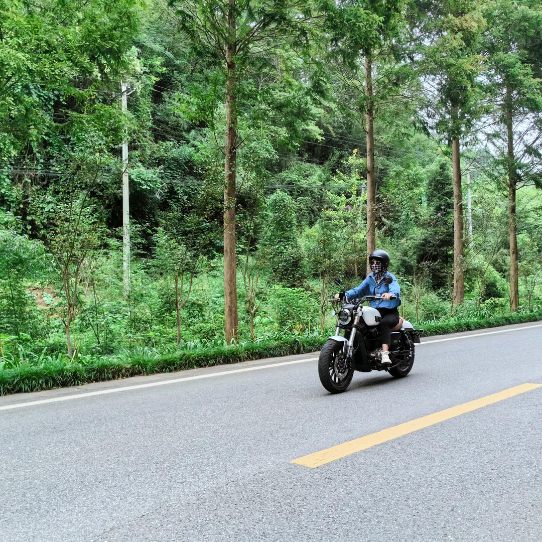 跟着风走--