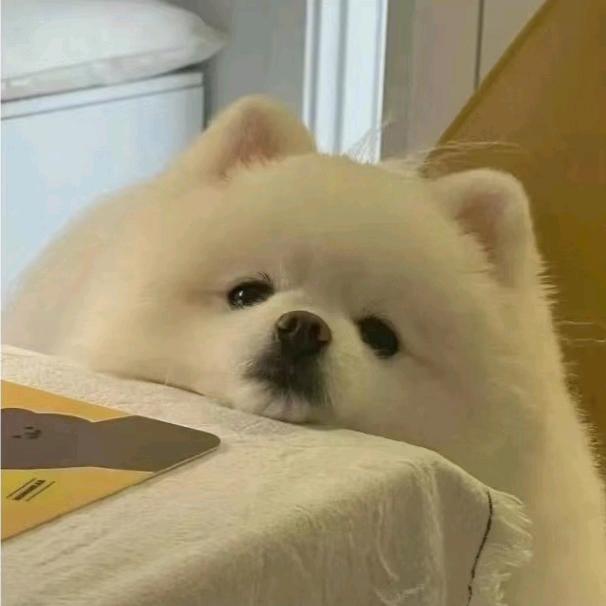 嘟噜噜彩妆的头像