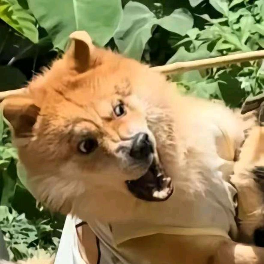 过隙