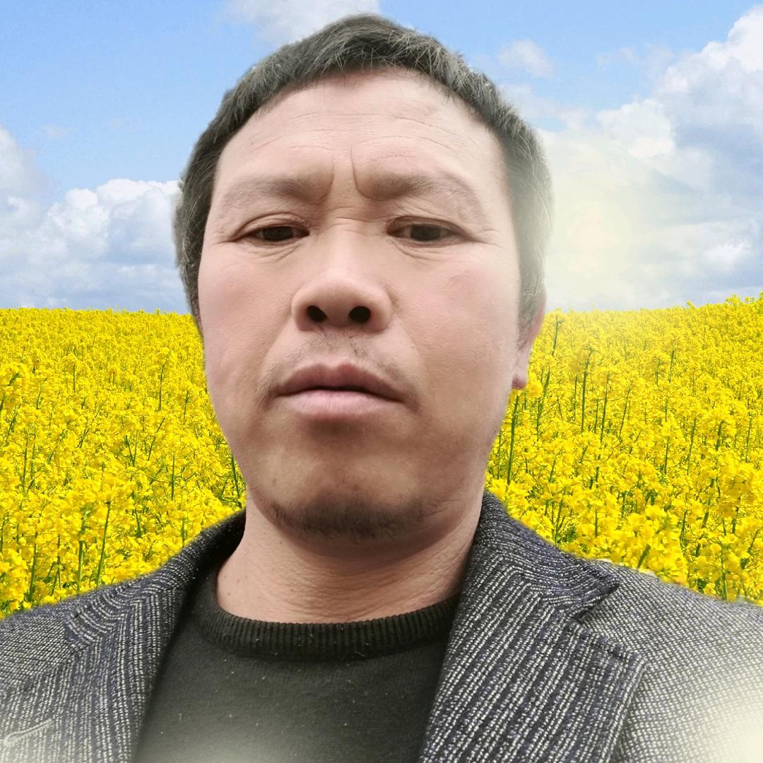 杨文国