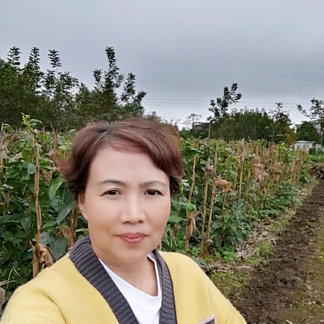 斌妈