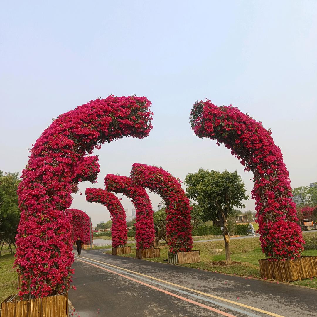 战狼
