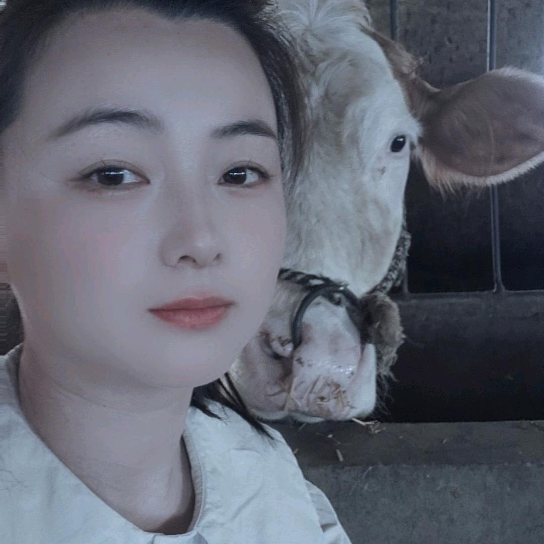 胡胡姐