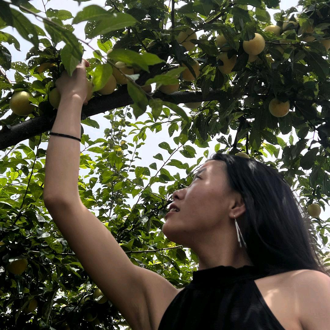 秀儿川妹子鲜果
