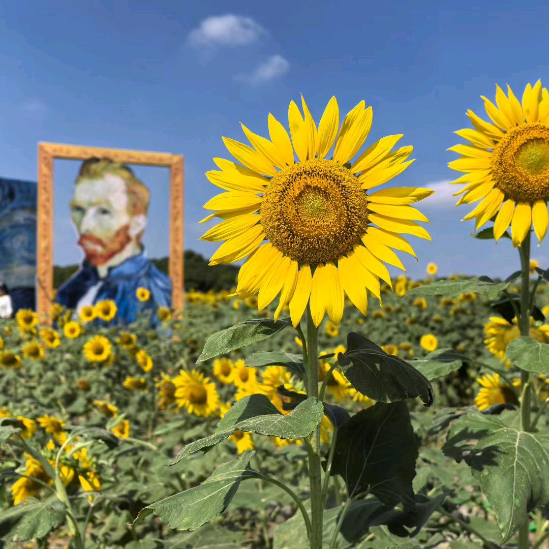 🌈本之木（我改过名了我是狗别笑）