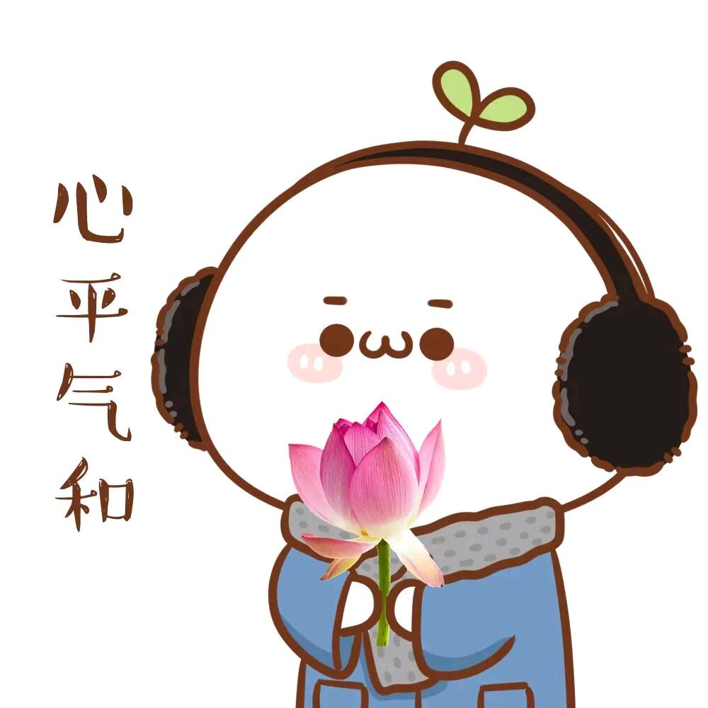 🌹王堡堡儿
