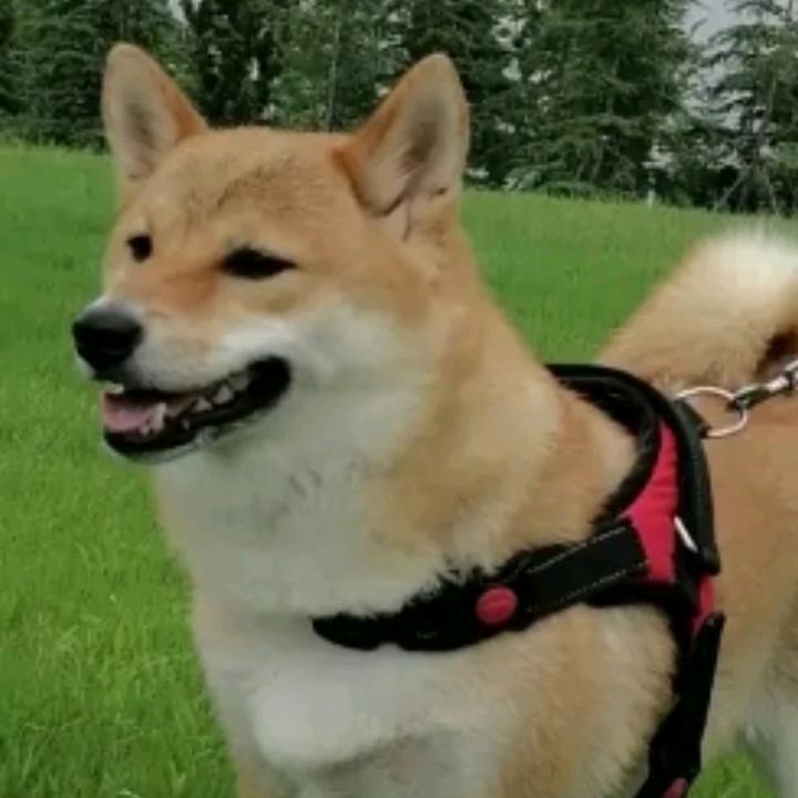 展望未来