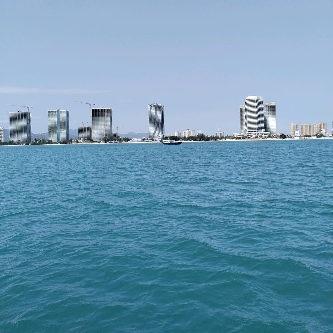 随风去流浪