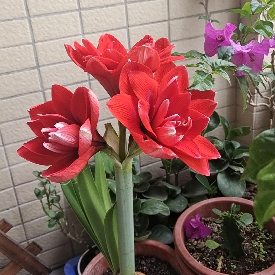 এ᭄🥀做好自己🌺ོꦿ࿐