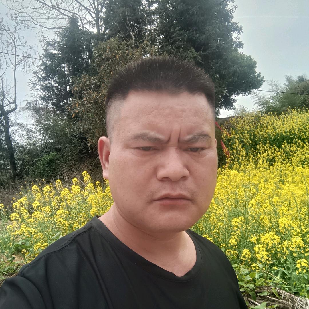 开心建筑《蒋》