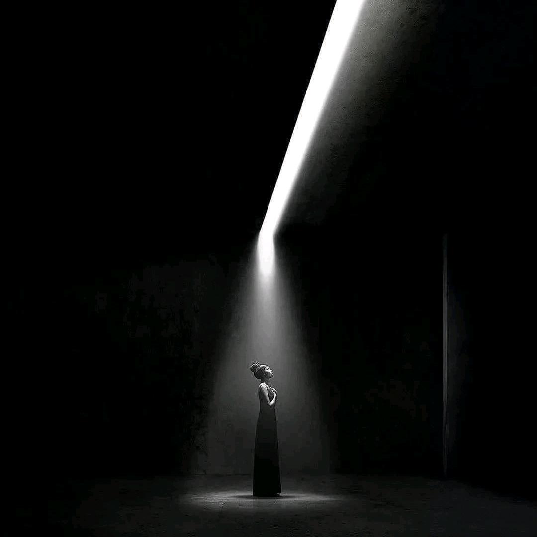 兔子（贴心直属）