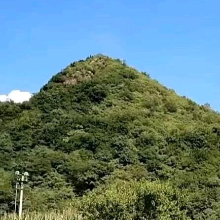 天成666