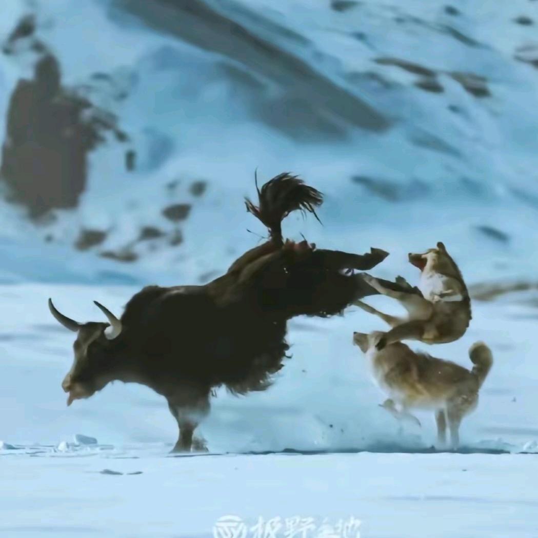 小鬼