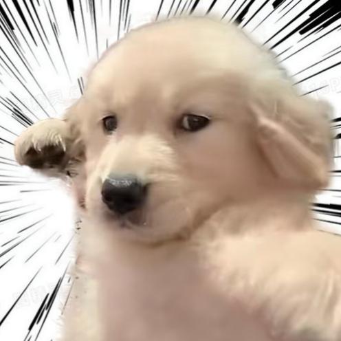 不想跑速耐