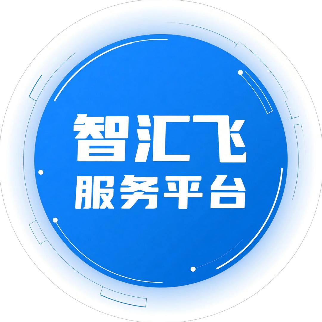 智汇飞飞手服务