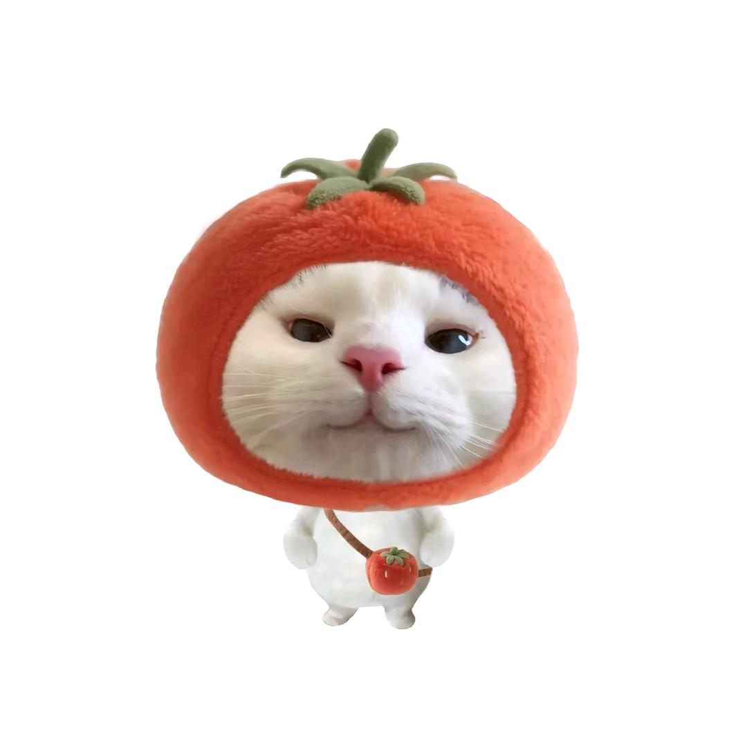 阿呆姆～