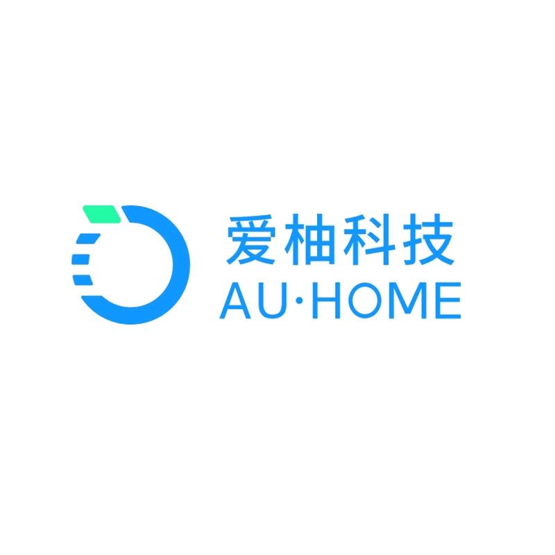爱柚科技公司