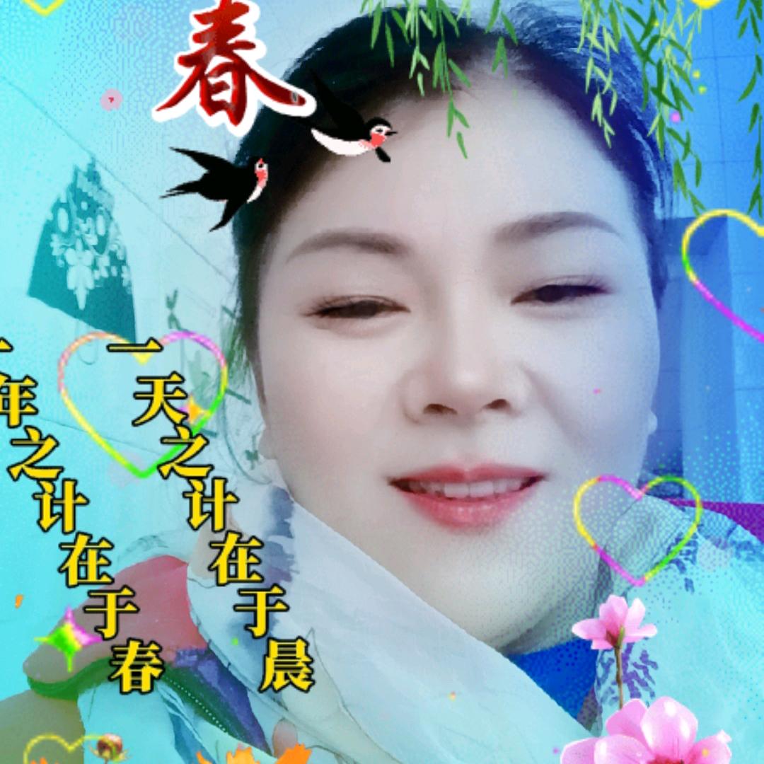 红玫瑰