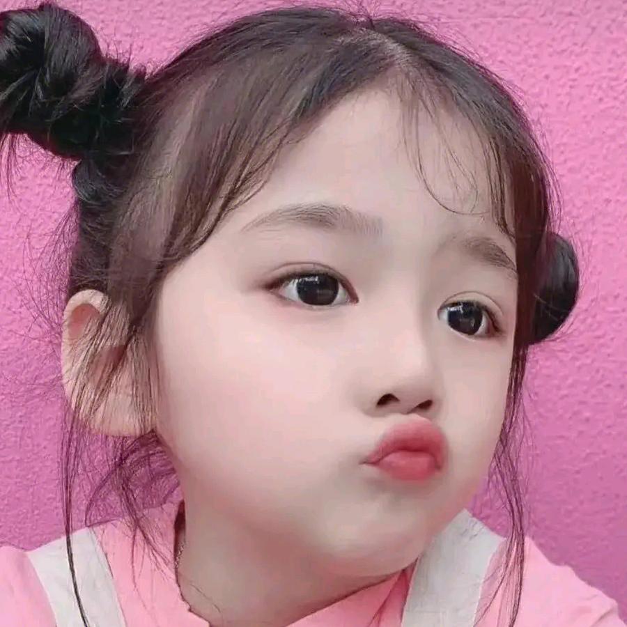 猪猪太难了🐷🐷