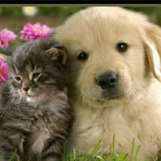 🍃馨梦@心🍃³³6