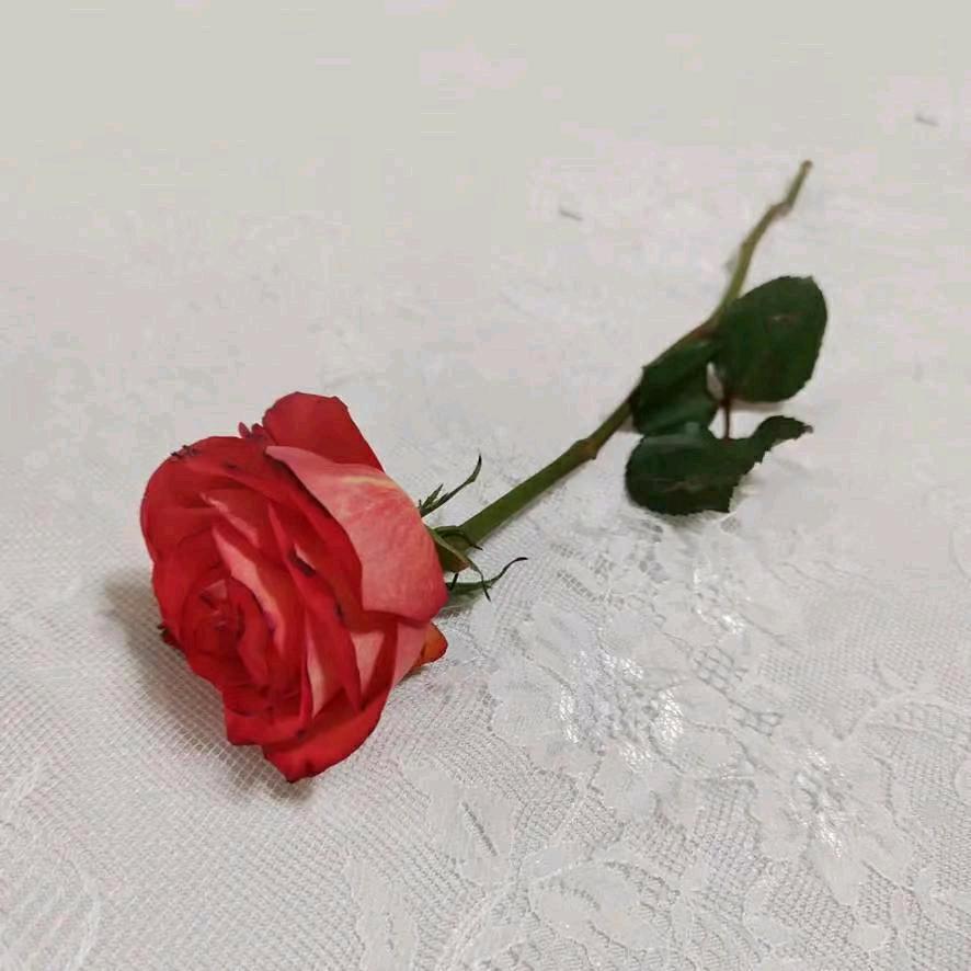 思维格局