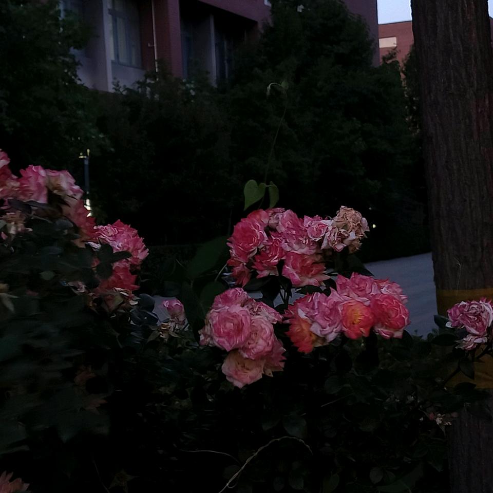 7/